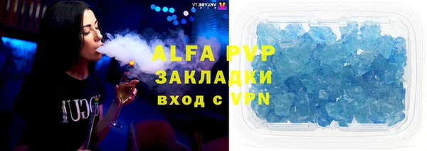 крисы Ростов