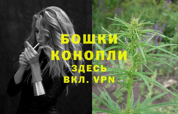 МДПВ Богородицк