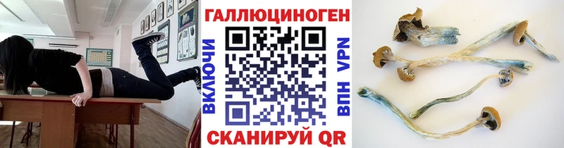 МЕГА зеркало  Котлас  Галлюциногенные грибы Psilocybine cubensis 
