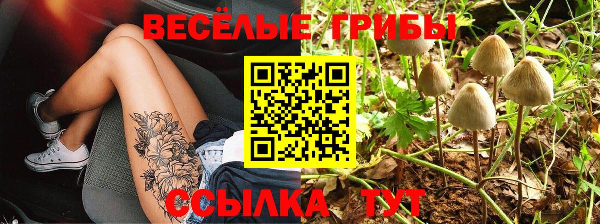 Псилоцибиновые грибы мухоморы  Галлюциногенные грибы ЛСД  Котлас 