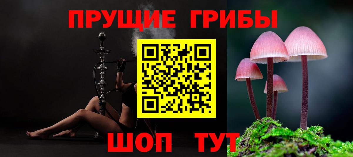 где купить наркоту  Псилоцибиновые грибы мухоморы  Вход с VPN  Котлас  Галлюциногенные грибы GOLDEN TEACHER 